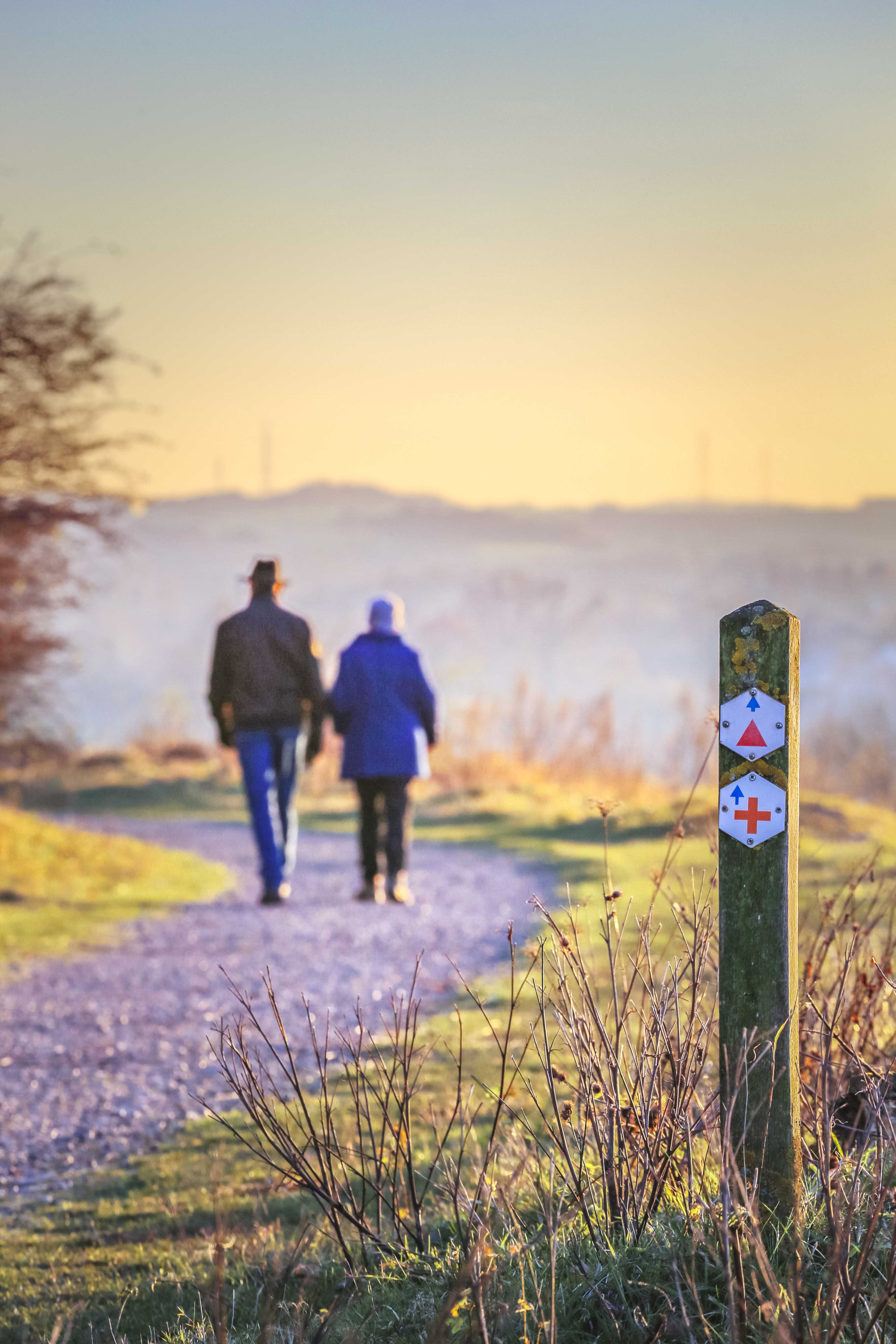 Teamdag_SPB_ENCI_29112016 (15).jpg