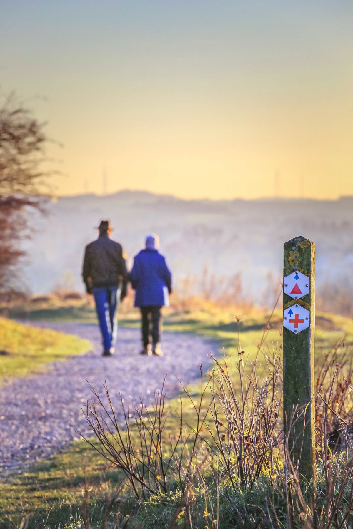 Teamdag_SPB_ENCI_29112016 (15).jpg